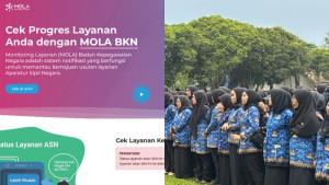 Cek-NIP-PPPK-Paruh-Waktu-di-Monitoring-Layanan-Badan-Kepegawaian-Negara.jpg