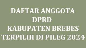 Daftar-Nama-Semua-Anggota-DPRD-Kabupaten-Brebes-Terpilih-di-Pileg-2024.jpg