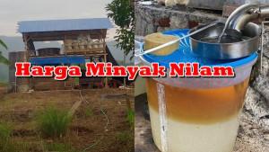 HARGA-MINYAK-NILAM-Info-harga-hjhgjghj.jpg