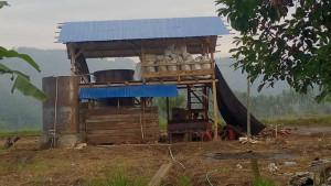 HARGA-MINYAK-NILAM-Info-harga-minyak-nilam-di-hjghjghj.jpg