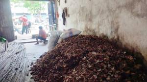 Harga-kopra-di-manado-kini-naik-tipis-wys.jpg