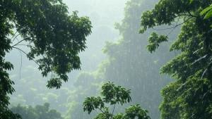 Hujan-melanda-di-wilayah-Indonesia.jpg