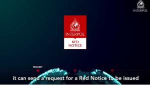 Interpol-fsdgsfdvbsf.jpg