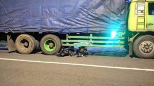 Kecelakaan-motor-tertabrak-truk-yang-tak-kuat-nanjak-di-Kabupaten-Bogor.jpg