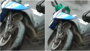 Korban-sekaligus-pengendara-sepeda-motor-tewas-usai-mengalami-kecelakaan.jpg