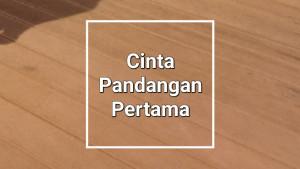 Lirik-Lagu-Cinta-Pandangan-Pertama-Wanda-Asmara.jpg