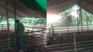 Lokasi-judi-sabung-ayam-yang-diungkap-Polres-Minut-Sulut.jpg
