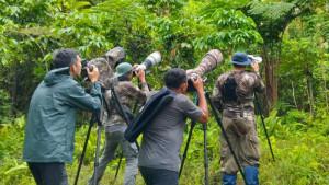 PECINTA-BURUNG-Tiga-orang-fotografer-asal-Malaysia-anggota-Komunitas-Pitta-Chaselo90.jpg
