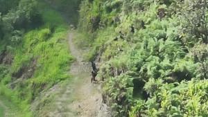 PRAJURIT-GUGUR-Petugas-TNI-dan-Polri-yang-tergabung-dalam-SatgaST4T565.jpg