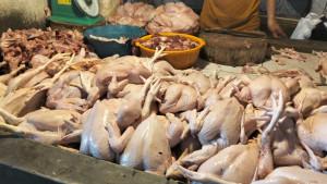 STOK-daging-ayam-di-Pasar-Bersehati-Manado.jpg