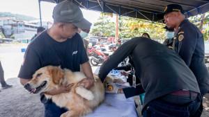 VAKSIN-Pemberian-vaksin-rabies-gratis-bagi-anjing-dan-kucingLY680.jpg