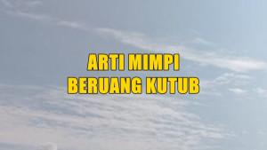 arti-mimpi-tentang-beruang-kutub-sdh.jpg