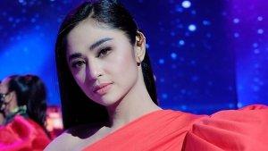 dewi-perssik-dituding-jadi-pelakor.jpg