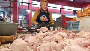 enjual-daging-ayam-di-Pasar-Bersehati-ManadoHJHGJGHJ.jpg