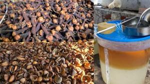 harga-komoditas-cengkih-kopra-dan-minyak-nilam-di-Sulawesi-Utara.jpg