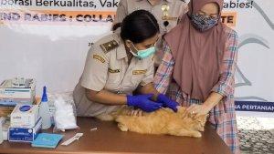 hari-rabies-sedunia-karantina-pertanian-dan-distan-sulut-vaksinasi-gratis-ratusan-hewan-peliharaan.jpg