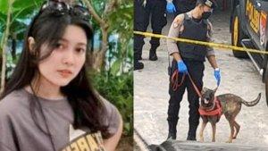 kasus-pembunuhan-ibu-dan-anak-di-subang-pelaku-sempat-dibentak-sopir-angkot-amalia-mustika-ratu.jpg