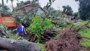 puting-beliung-landa-probolinggo-jumat-150122-pohon-tumbang-hingga-puluhan-rumah-rusak.jpg