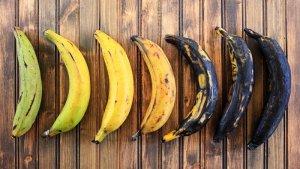 rupa-rupa-warna-pisang.jpg