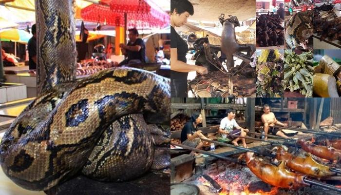Minsel Gelar Pengucapan Syukur Minggu 12 Juli 2026, Warga Siapkan Makanan Ekstrem - Tribunmanado.co.id