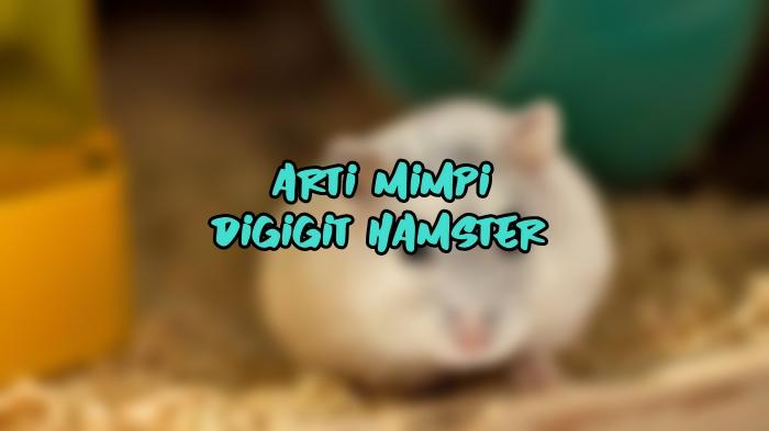 Arti Mimpi Digigit Hamster, Ternyata Menjadi Pertanda Buruk, Begini Tafsir Lengkapnya