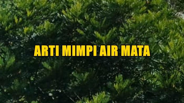 Berikut-arti-mimpi-tentang-air-mata.jpg