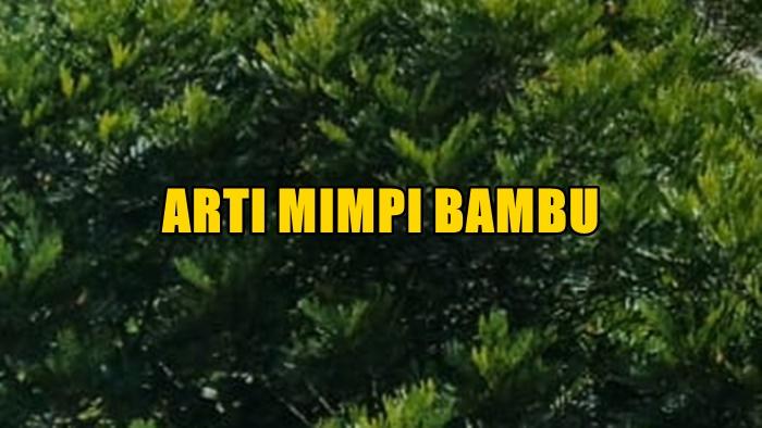 Berikut-arti-mimpi-tentang-bambu.jpg