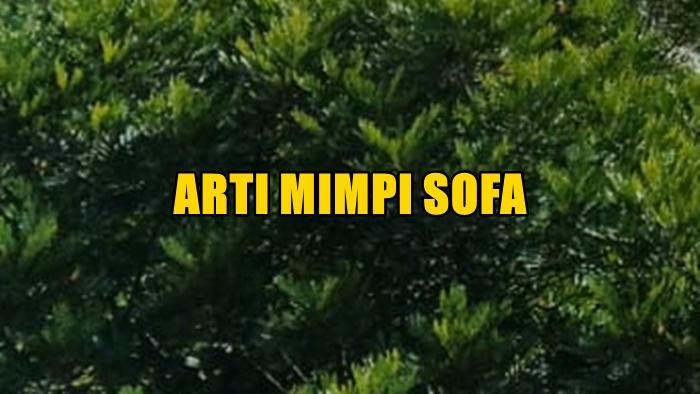 Berikut-arti-mimpi-tentang-sofa.jpg
