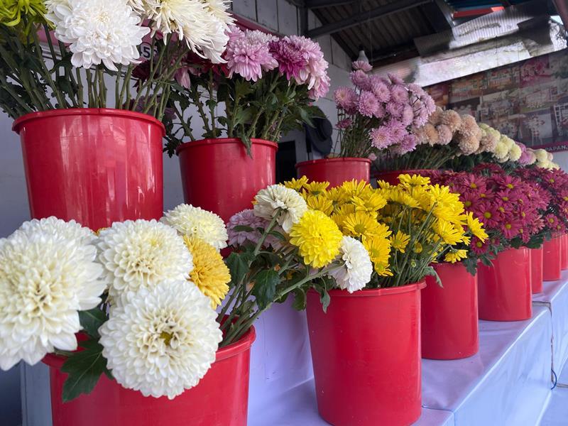 Bunga-yang-Dijual-di-Kota-Tomohon-Sulawesi-Utara-Rabu-18122024hjkhghk78.jpg