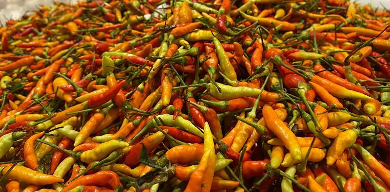 Update Harga Cabai Rawit di Swalayan Manado Senin 30 September 2024, Semakin Pedas