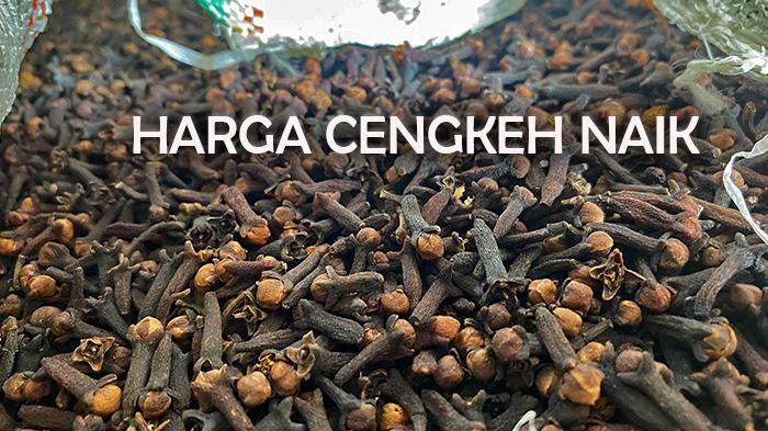 Info Harga Cengkeh Terbaru di Manado Sulawesi Utara, Naik Lagi, Petani Berharap Lewat Rp 100 Ribu