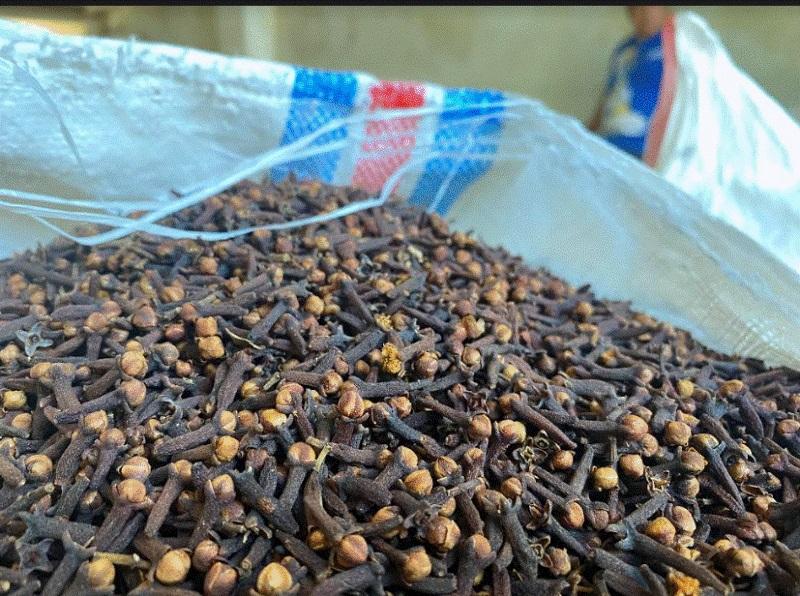 Cengkih-di-Gudang-Wanea-Kota-Manado-Sulawesi-Utara.jpg