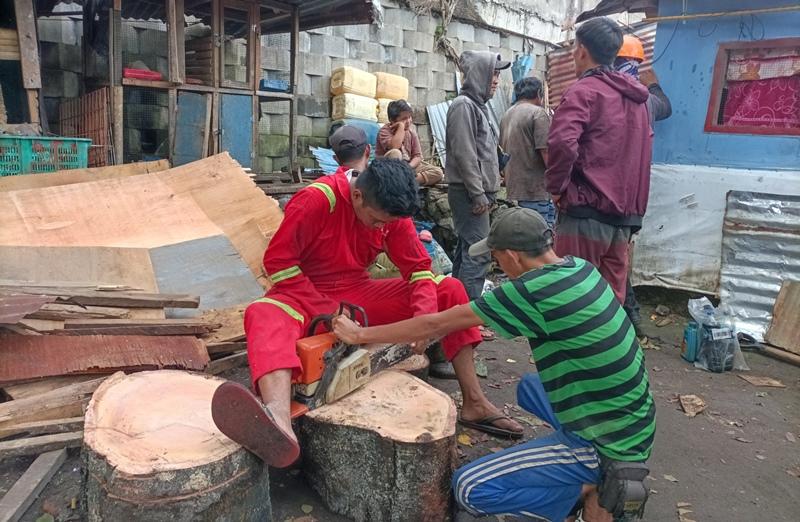 DLH-Manado-Terima-Puluhan-Permintaan-Potong-Pohon-Tiap-Hari-45.jpg