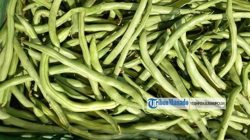 Daftar 7 Daerah Penghasil Buncis di Sulawesi Utara Tahun 2024, Produksi Terbanyak dari Tomohon