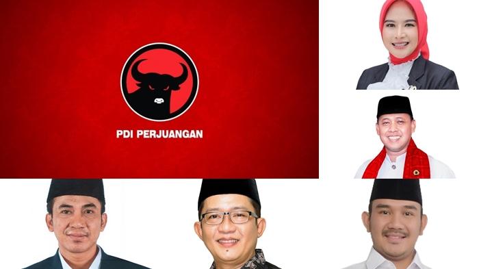 Daftar-Kepala-Daerah-Kader-PDIP-Terkaya-di-Jawa-Barat-yang-Terpilih-pada-Pilkada-2024.jpg