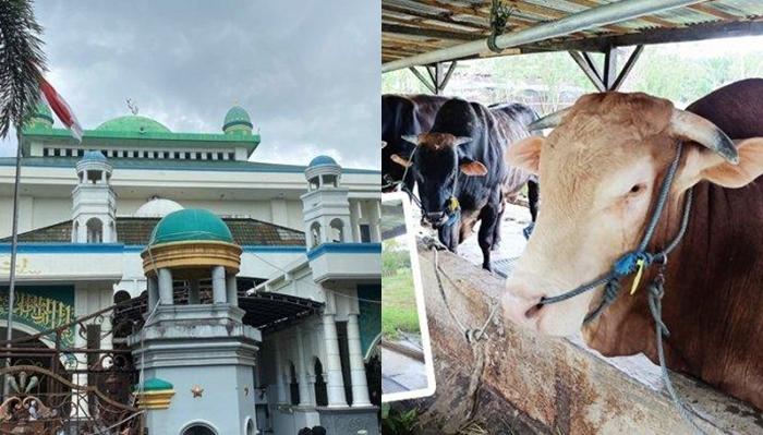 Daftar-Nama-Masjid-di-Sulut-Tempat-Penyaluran-Sapi-dari-Presiden-Prabowo-SubiantoGJHGFJGHJ.jpg