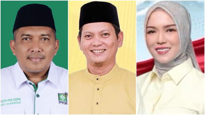 Daftar-Wakil-Bupati-Terkaya-di-Kepulauan-Riau-yang-Terpilih-pada-Pilkada-2024.jpg