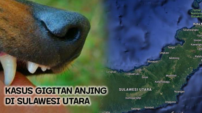 Data-kasus-gigitan-hewan-penular-rabies-di-Provinsi-Sulawesi-Utara-Sulut-sepanjang-tahun-2024.jpg