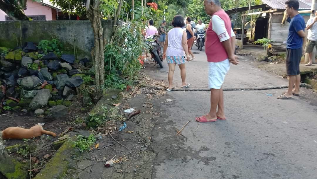 Doger Anjing Beraksi di Desa Lopana Minsel Sulawesi Utara