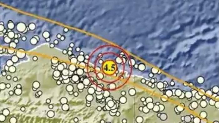 Gempa Terkini Guncang Jayapura Senin 17 Juli 2023, Info BMKG Magnitudo 4,5 SR