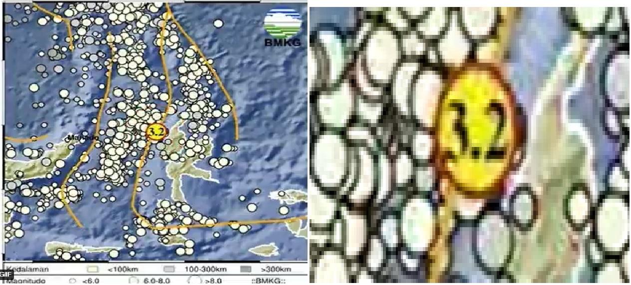 Gempa-Terkini-yang-Mengguncang-Laut-Rabu-5-Juli-2023-Berikut-Info-Lokasi-dan-Magnitudonya.jpg