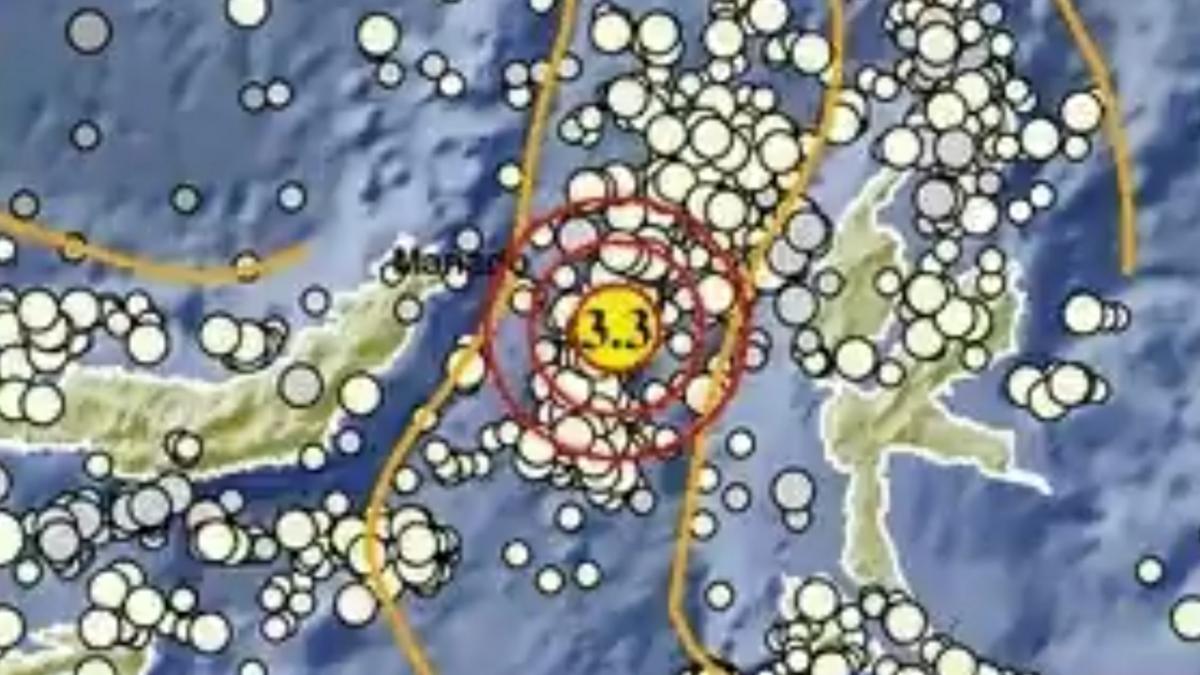 Gempa Bumi Terkini di Malut Selasa 21 April 2026, Info BMKG Magnitudo dan Lokasinya