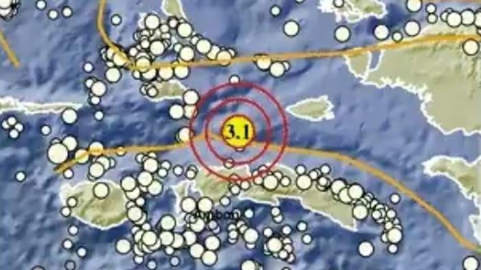 Gempa Terkini di Maluku Sore Ini Senin 20 April 2026, Berikut Info BMKG