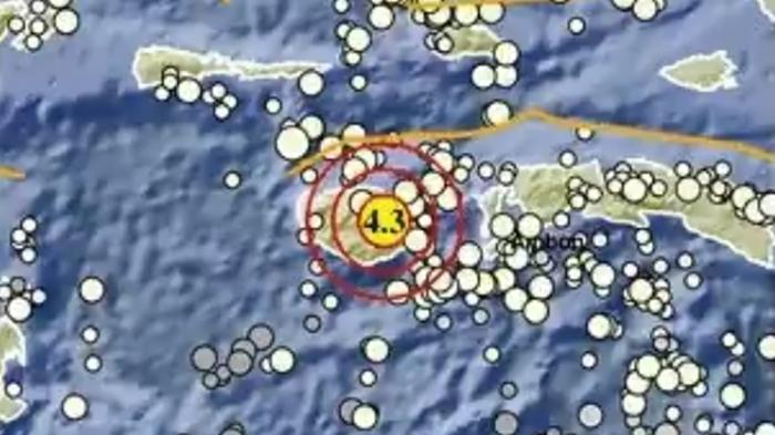 Gempa Magnitudo 4,3 di Maluku Pagi Ini Selasa 21 April 2026, Berikut Info BMKG