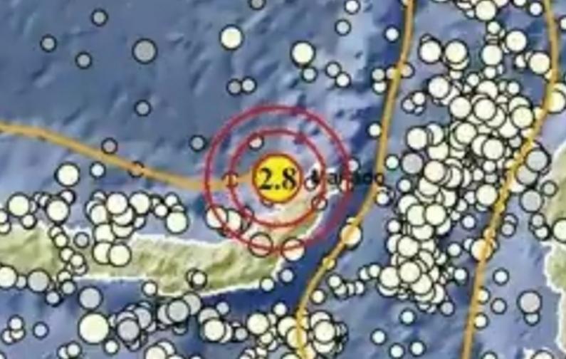 Gempa Terkini Pagi Ini Jumat 31 Maret 2023, Baru Saja Guncang di Laut, Info BMKG Magnitudonya