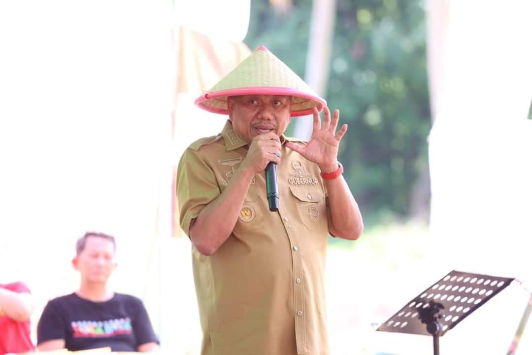 Gubernur Sulawesi Utara Olly Dondokambey Kembangkan Tanaman Bawang Merah, Panen Bisa Ratusan Juta