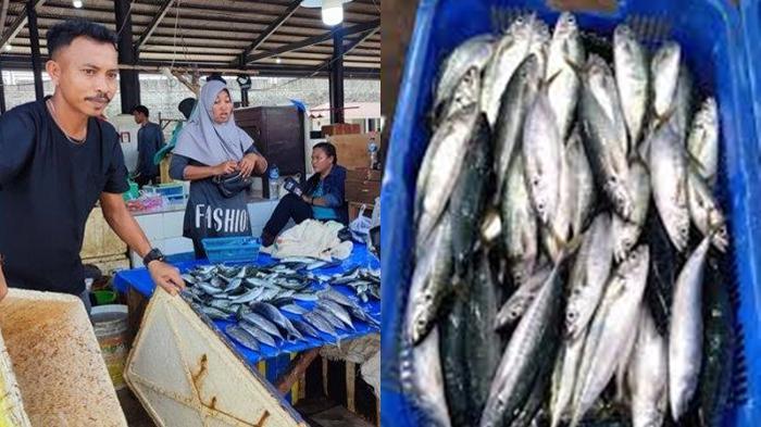 Harga-Ikan-diPasarBersehatiManadoSulawesi-Utara-Naik-Akibat-Cuaca-Tak-Menentu.jpg