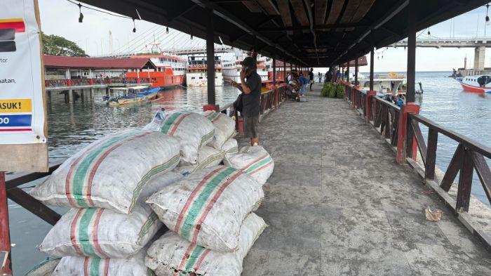 Harga Kopra di Manado Turun jadi Rp15 Ribu per Kilogram, Petani Mengeluh