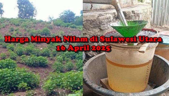 Harga-Minyak-Nilam-di-Minsel-Sulawesi-Utara-Rabu-16-April-2025fhh.jpg