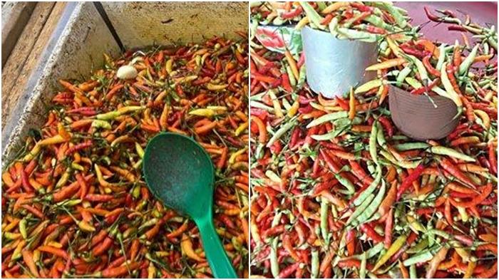 Harga Rica di Manado Sulawesi Utara Hari Ini Jumat 12 Januari 2024, Turun Lagi